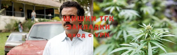 винт Алзамай