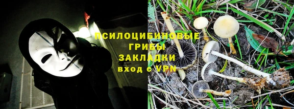 соль курить ск Алексеевка