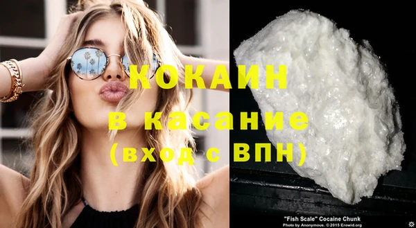 винт Алзамай